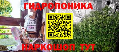 спайс Баксан