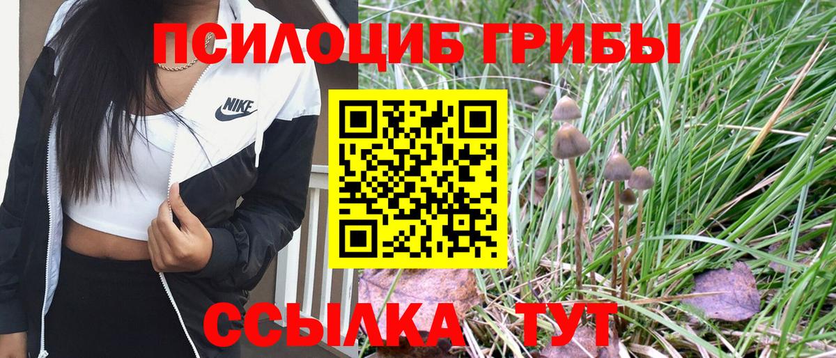 Дзержинский  Галлюциногенные грибы Psilocybe  Вход с VPN  Галлюциногенные грибы прущие грибы 