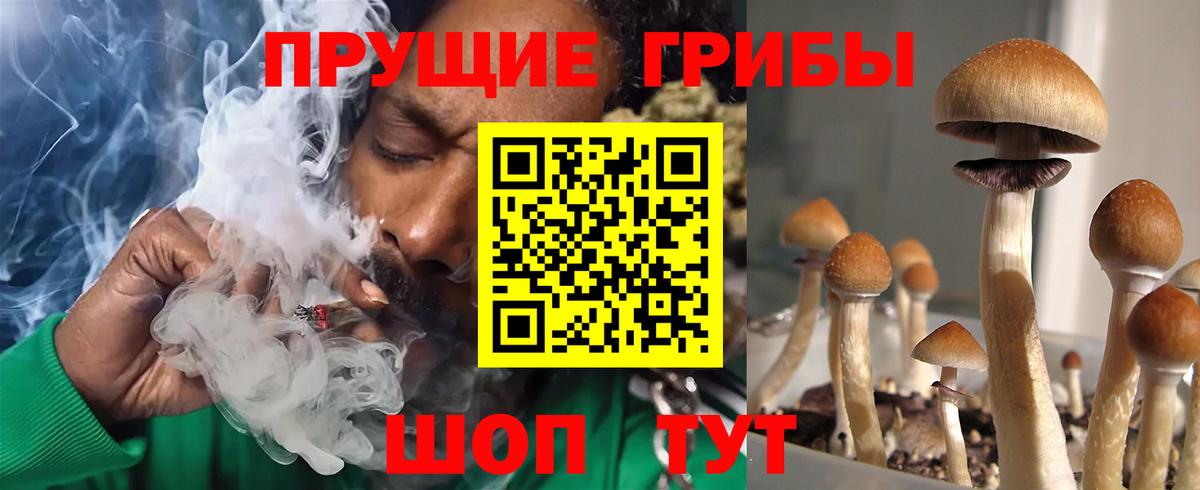 Псилоцибиновые грибы ЛСД Дзержинский
